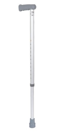 Walking Sticks