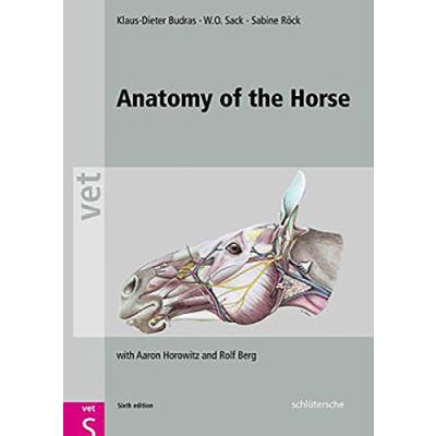 Anatomy of the Horse: 6th Edition