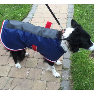 Canine Spinal Jacket - made to measure