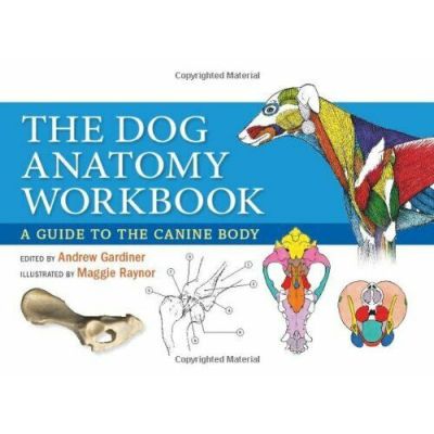 The Dog Anatomy Workbook: A Guide to the Canine Body