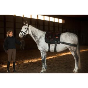 A handler standing beside a saddled horse in an indoor arena, illustrating the groundwork and posture‑focused routines commonly used alongside the Equiband System to support core stability and muscle engagement.