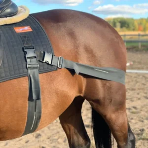 A horse wearing a training surcingle with attached resistance bands, illustrating how the Equiband System supports core stability, posture and muscle engagement during groundwork or ridden exercise.