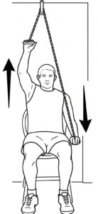 A seated person performing a shoulder‑pulley forward‑flexion exercise, with one arm lifting upward as the opposite arm lowers to support controlled mobility and rehabilitation.